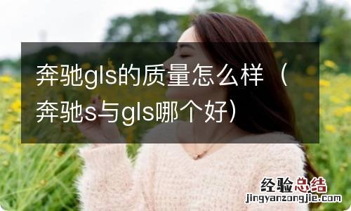 奔驰s与gls哪个好 奔驰gls的质量怎么样