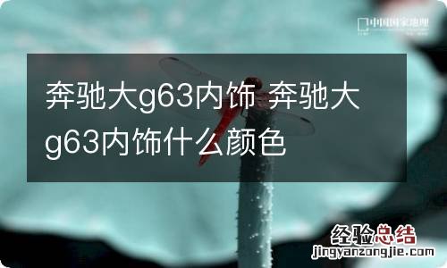 奔驰大g63内饰 奔驰大g63内饰什么颜色