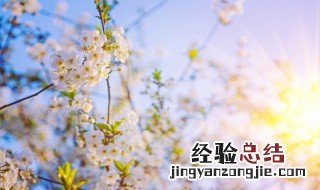 表达期盼的句子 表达期盼的句子精选