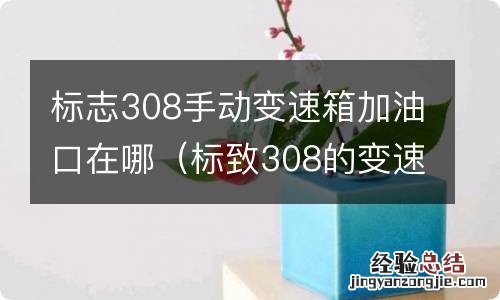 标致308的变速箱加油口在什么地方 标志308手动变速箱加油口在哪