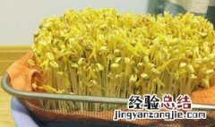 绿豆怎么养豆芽 如何养出绿豆芽