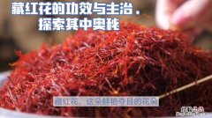 藏红花介绍，藏红花是什么