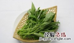 空心菜有哪些食用方法 空心菜的食用方法