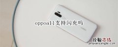 oppoa11支持闪充吗