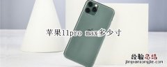 苹果11pro max多少寸