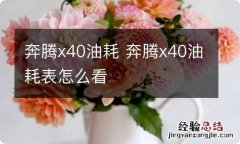 奔腾x40油耗 奔腾x40油耗表怎么看