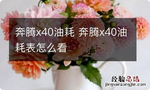 奔腾x40油耗 奔腾x40油耗表怎么看