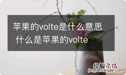 苹果的volte是什么意思 什么是苹果的volte