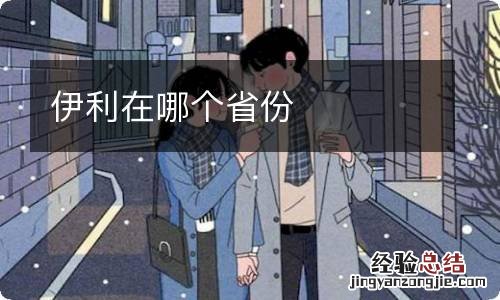 伊利在哪个省份