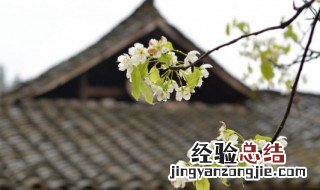 古代的秋千节还是什么节 古代的秋千节还是什么节日