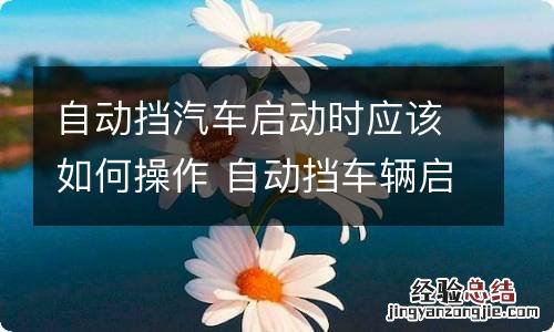 自动挡汽车启动时应该如何操作 自动挡车辆启动时应如何操作