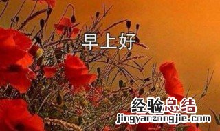 最新早上好语录句子 最新早上好语录句子集锦