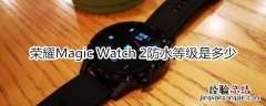 荣耀Magic Watch 2防水等级是多少