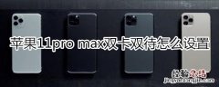 苹果11pro max双卡双待怎么设置