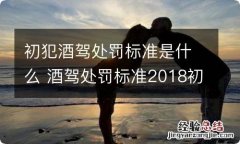 初犯酒驾处罚标准是什么 酒驾处罚标准2018初犯