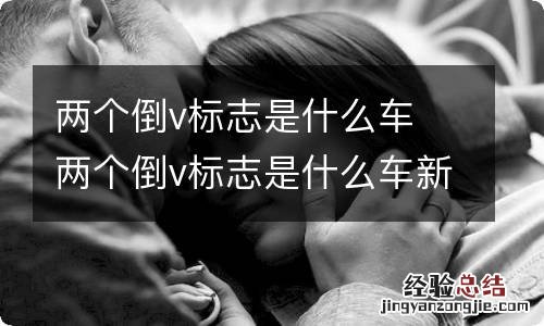 两个倒v标志是什么车 两个倒v标志是什么车新能源