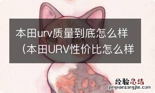 本田URV性价比怎么样 本田urv质量到底怎么样