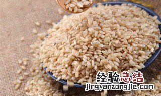 糙米可以不泡直接煮饭吗 糙米可以不泡吗