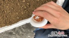 花生拌种方法是什么