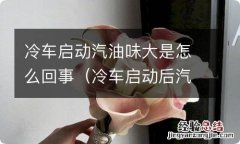 冷车启动后汽油味很重是怎么回事 冷车启动汽油味大是怎么回事