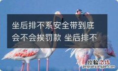 坐后排不系安全带到底会不会挨罚款 坐后排不系安全带罚款多少钱