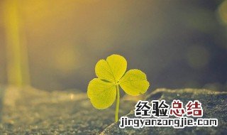 适合清晨发朋友圈的句子 适合清晨发朋友圈的句子有哪些