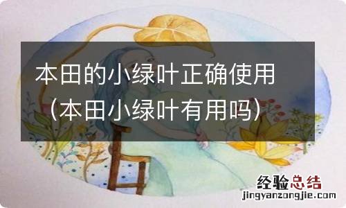 本田小绿叶有用吗 本田的小绿叶正确使用