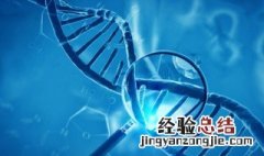 什么是基因工程技术? 基因工程技术介绍