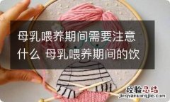 母乳喂养期间需要注意什么 母乳喂养期间的饮食减肥建议