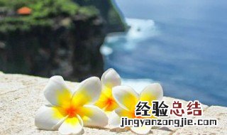 霸气努力向上文案 努力向上的文案句子