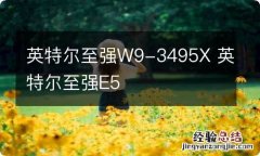 英特尔至强W9-3495X 英特尔至强E5