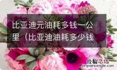 比亚迪油耗多少钱一公里 比亚迪元油耗多钱一公里