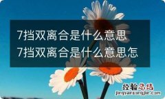 7挡双离合是什么意思 7挡双离合是什么意思怎么开是自动挡呢