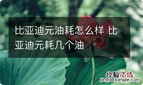 比亚迪元油耗怎么样 比亚迪元耗几个油