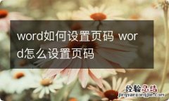 word如何设置页码 word怎么设置页码