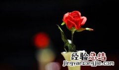 花朵保鲜步骤 花朵如何保鲜