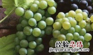 葡萄可以放冰箱冷冻吗 葡萄可以放冰箱冷冻吗冬天