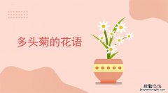 花期介绍 多头菊什么时候开花