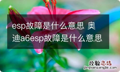 esp故障是什么意思 奥迪a6esp故障是什么意思