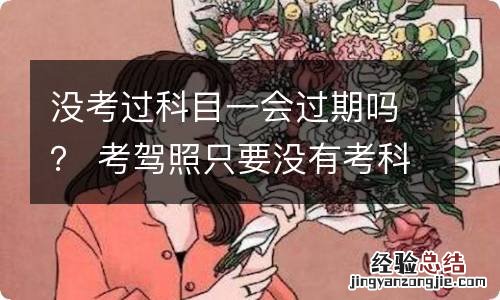 没考过科目一会过期吗？ 考驾照只要没有考科目一会过期吗