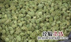 三七花怎样保存最好 三七花怎么保存比较好