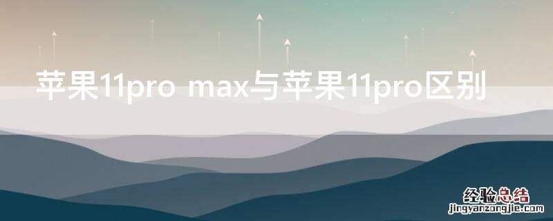 iPhone11pro max与iPhone11pro区别