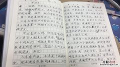 什么的你什么的我作文