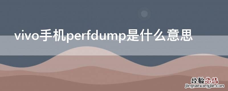 vivo手机perfdump是什么意思