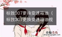 标致307更换变速箱油视频 标致307更换变速箱油