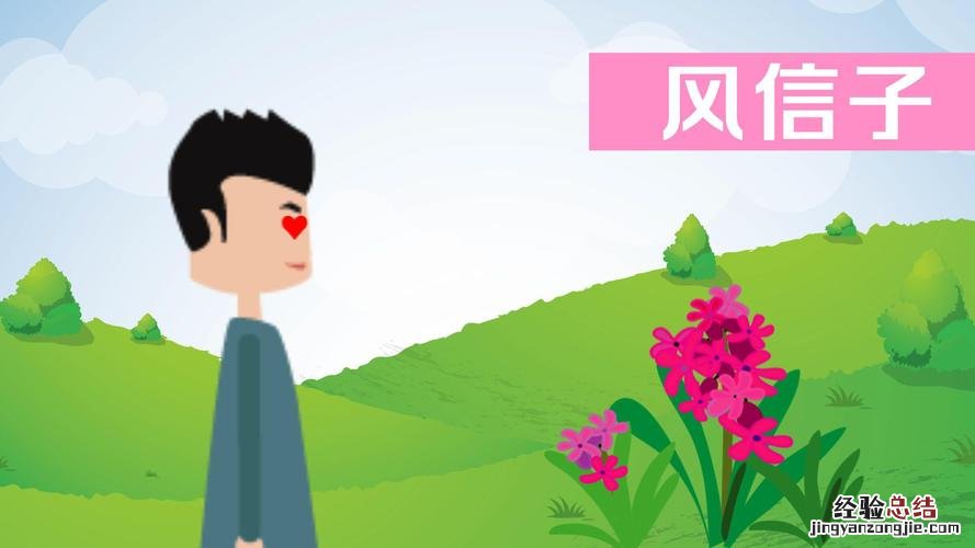 风信子夹箭后怎么办