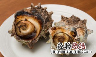 海螺冷冻能保存多久 海螺冰冻可以放多久