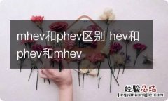 mhev和phev区别 hev和phev和mhev