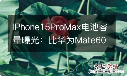 iPhone15ProMax电池容量曝光：比华为Mate60Pro小点