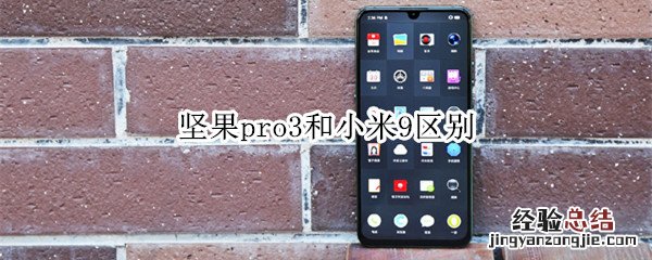 坚果pro3和小米9区别